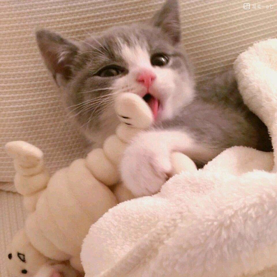 bu ru bu jian mian Remix