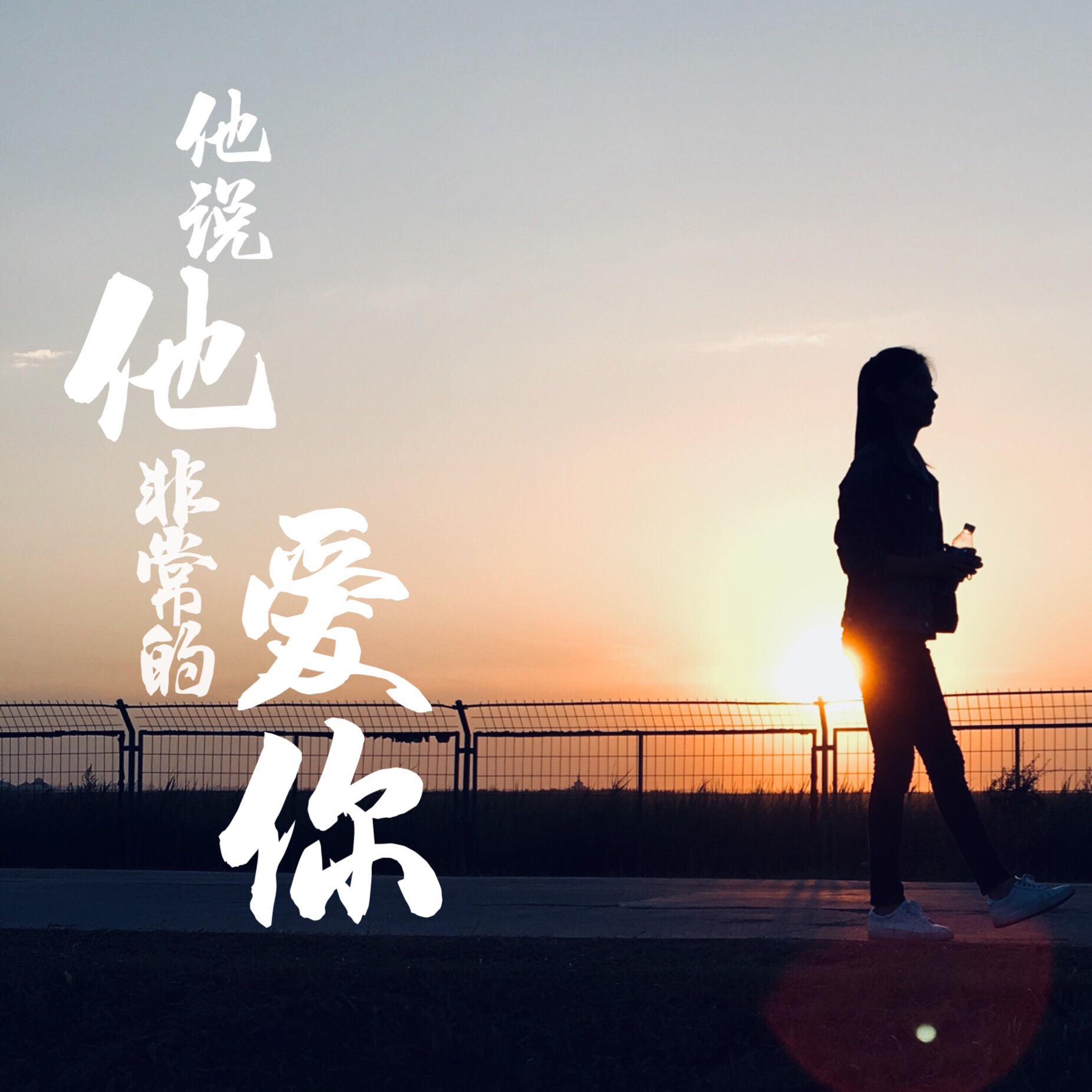 ta shuo ta fei chang de ai ni