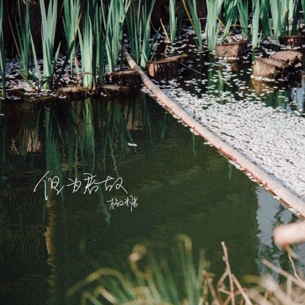 dan wei jun gu Cover: wu lei