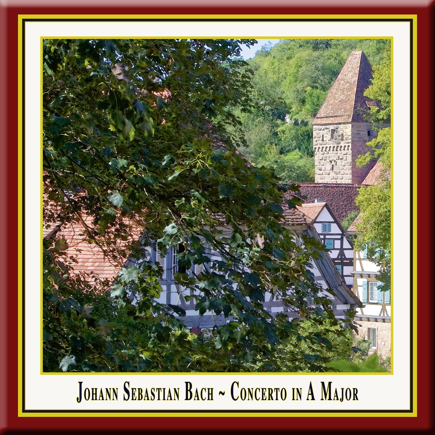 Oboe D'Amore Concerto in A Major, BWV 1055R: II. Larghetto