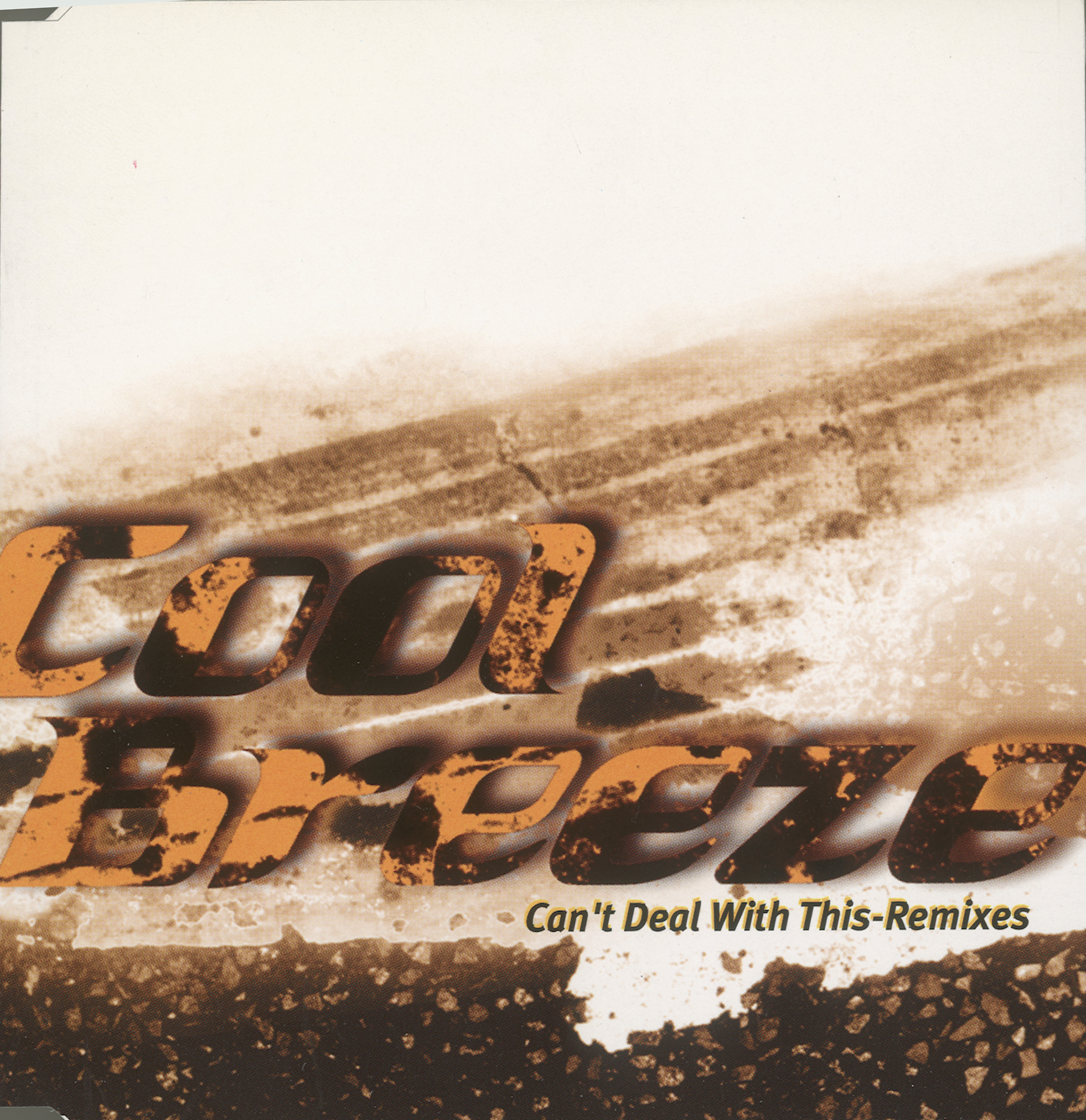 Can't Deal With This (Kid Loops Parts Of Speech)