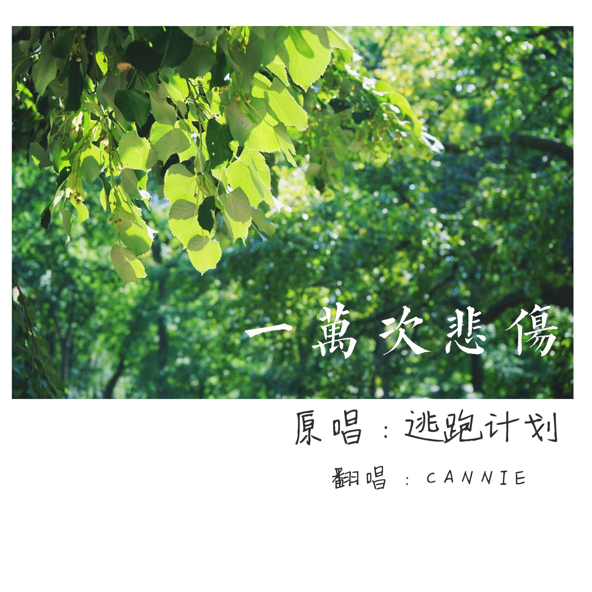 yi wan ci bei shang Acoustic Cover tao pao ji hua