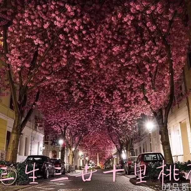 gang hao yu jian ni DJ