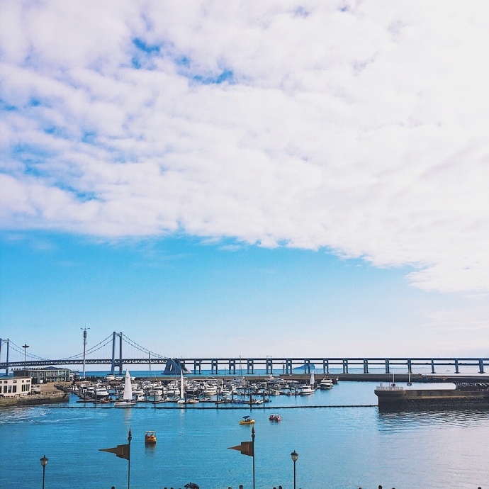 cai bu tou Cover ding dang