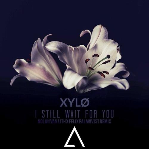 I Still Wait For You (Nolan van Lith x Felix Palmqvist Remix)