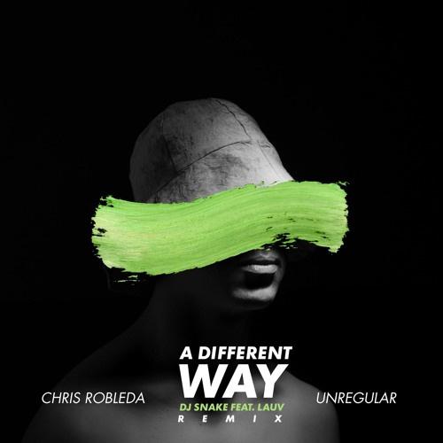 Different Way (Chris Robleda & Unregular Remix)