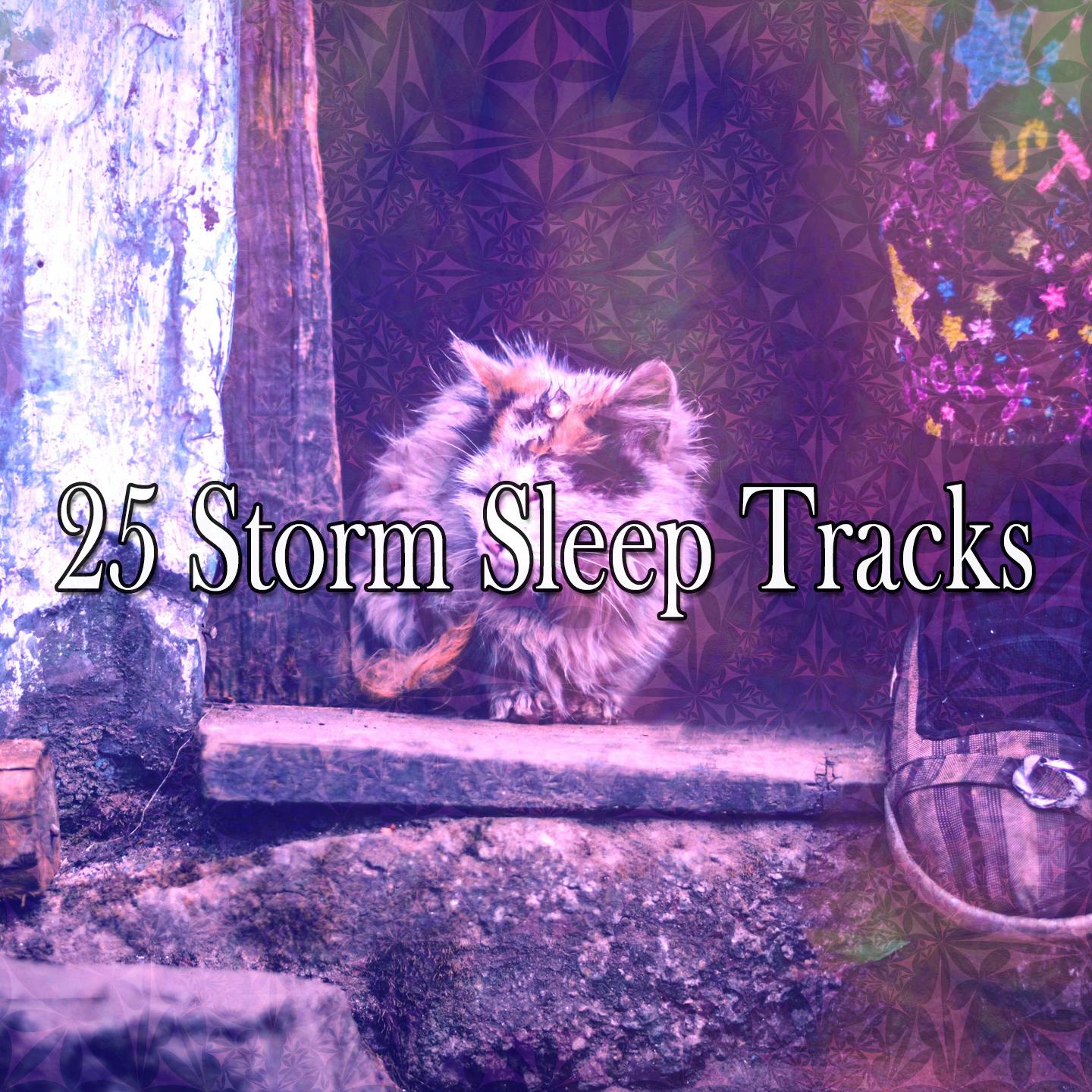 25 Storm Sleep Tracks