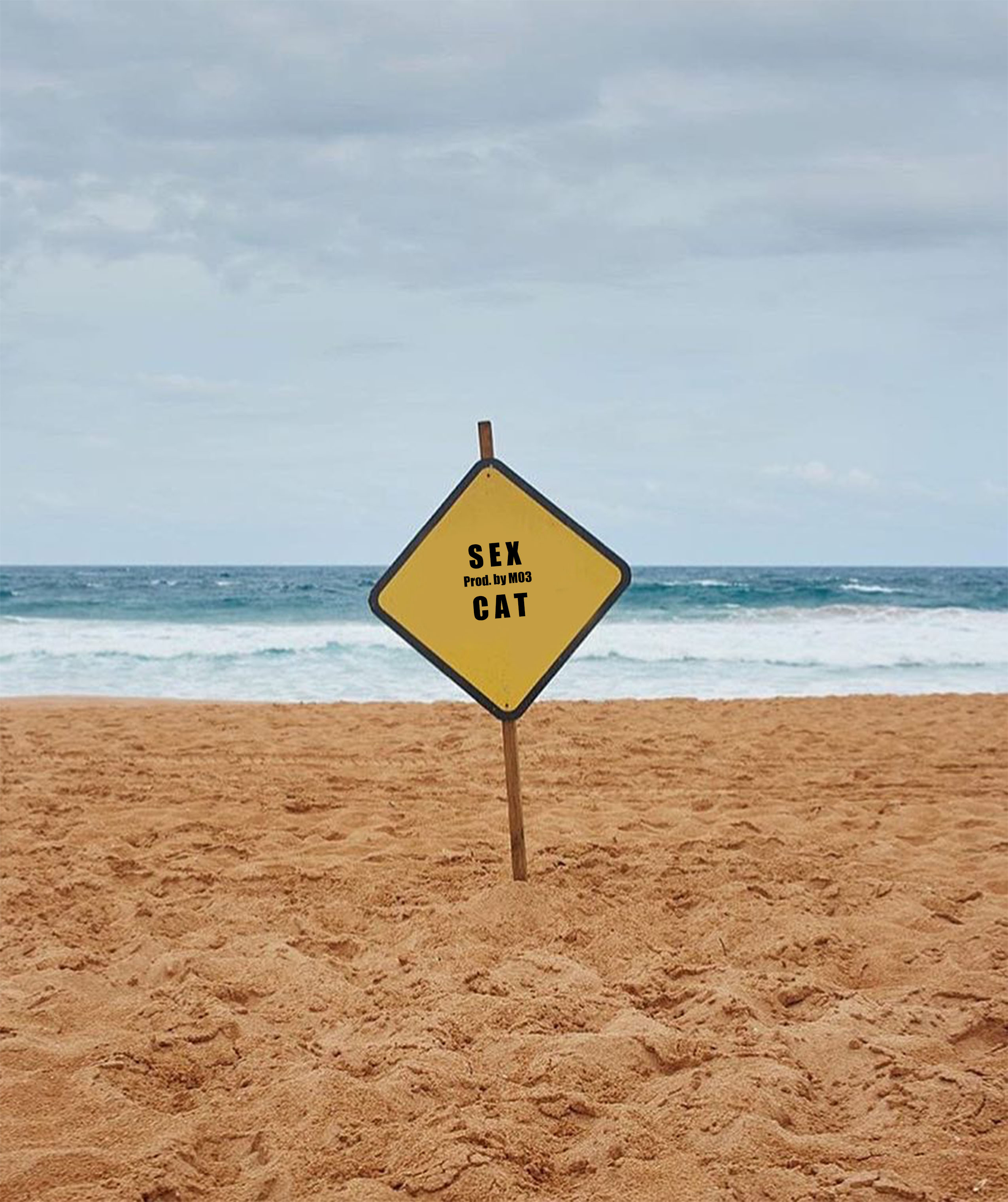 SEX CAT (Prod.By M03)