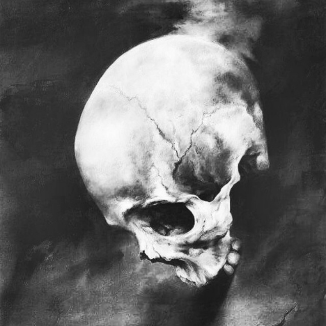 Echoes In A Hollow Skull