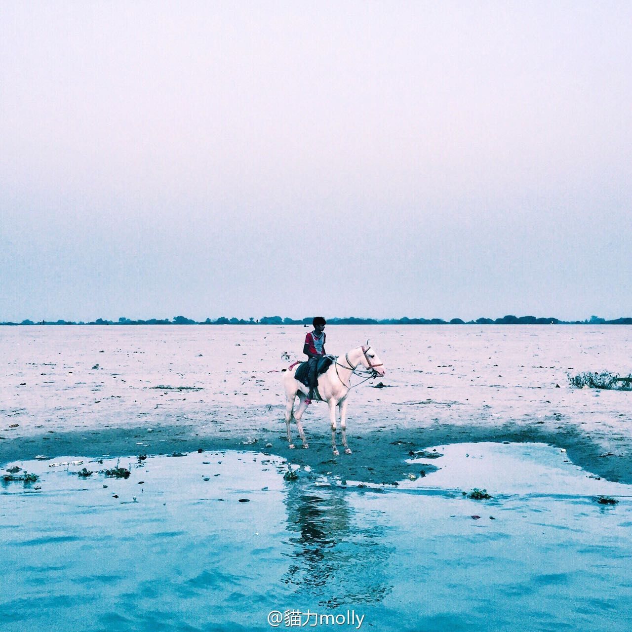 yuan zai bei fang gu du de gui cover: hua zhou