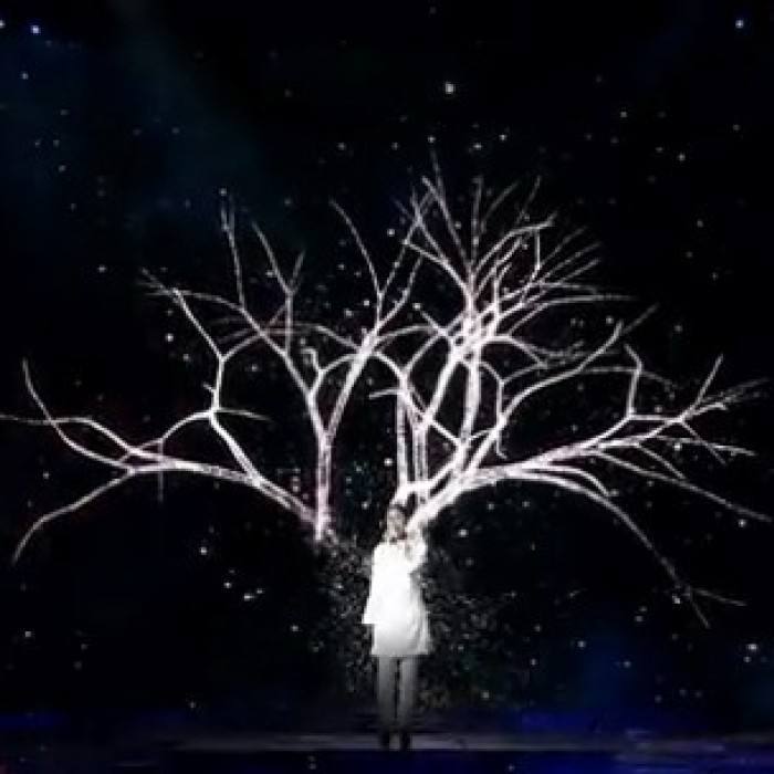 peng xin Cover Aimer