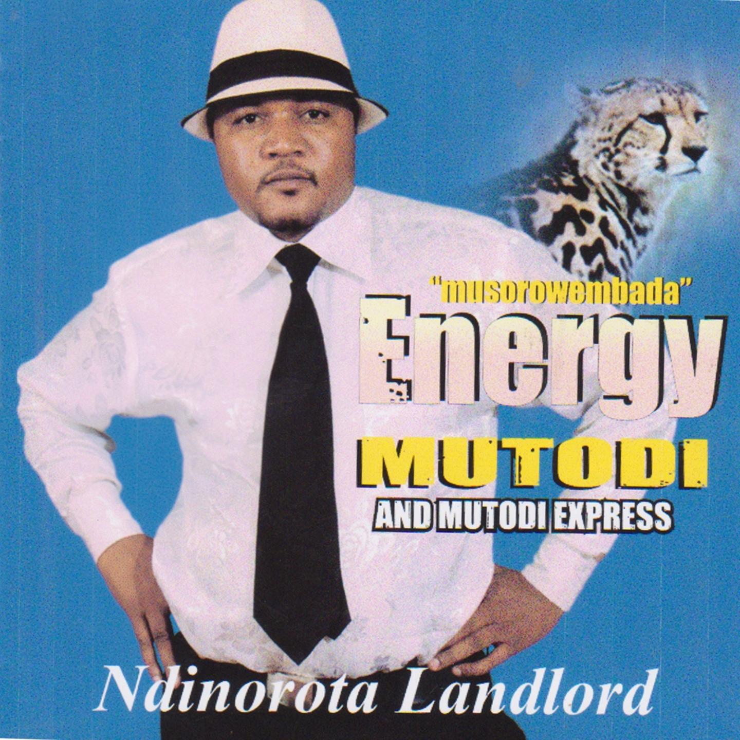Ndinorota Landlord