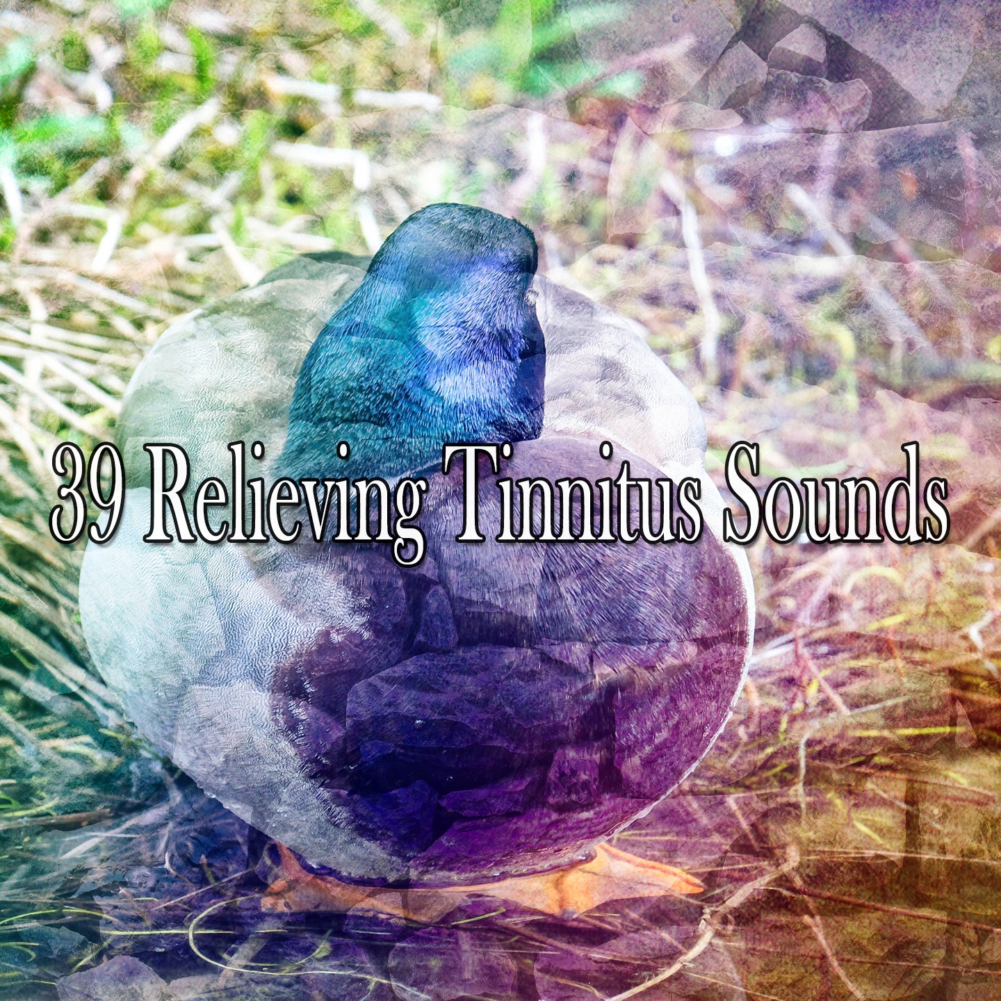 39 Relieving Tinnitus Sounds