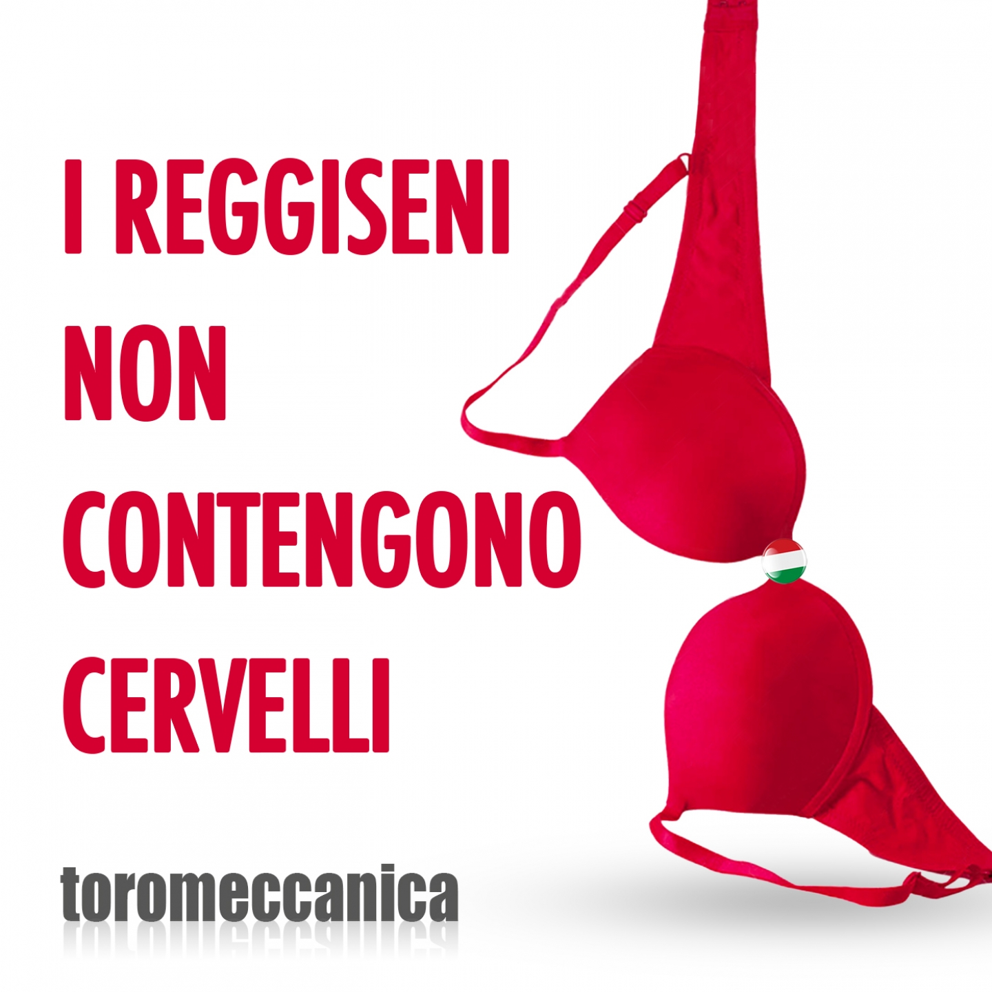 I reggiseni non contengono cervelli