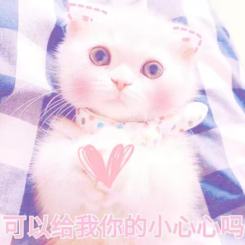 qing hua wei tian Cover li chao  wang sheng feng