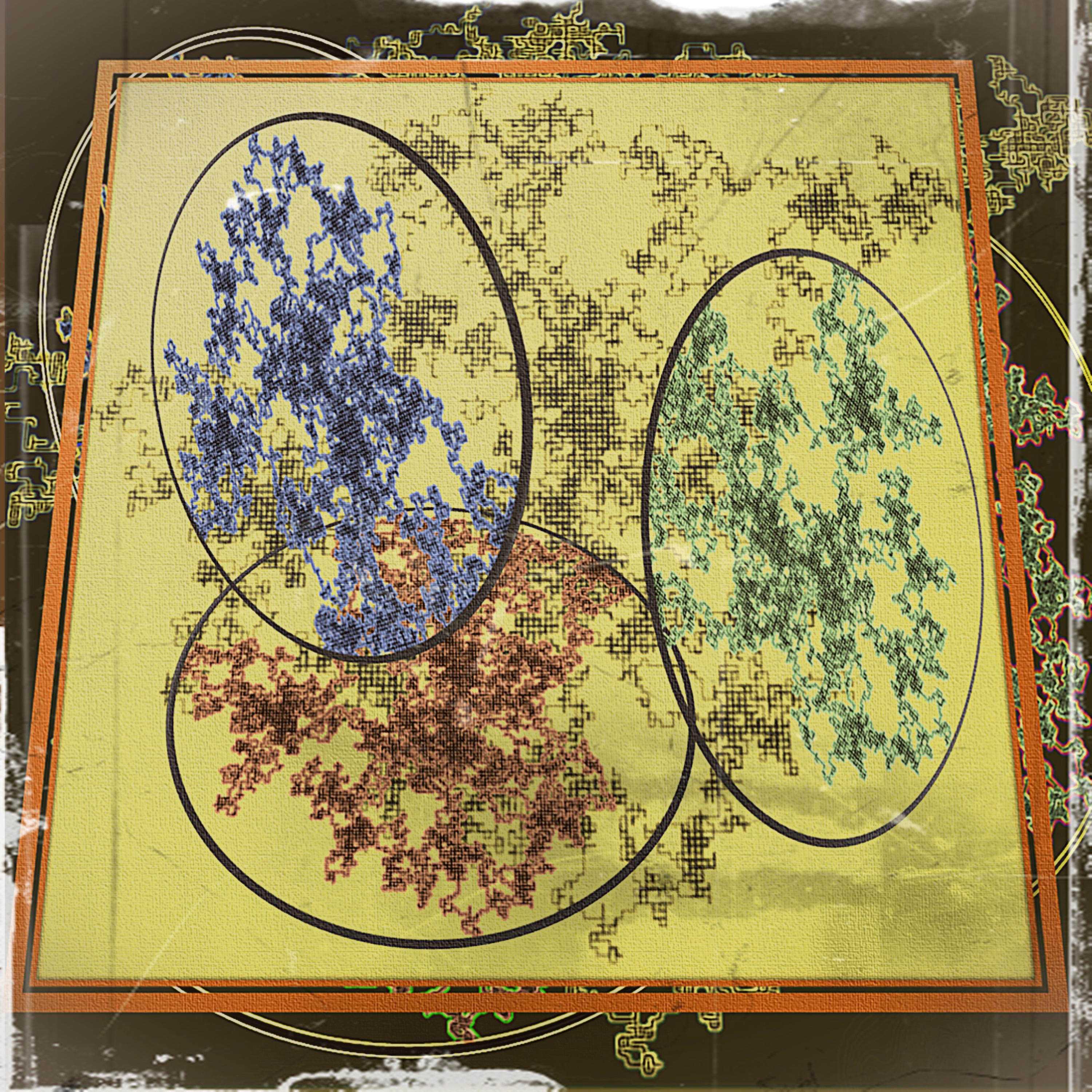 Black Scholes Nature of collapse