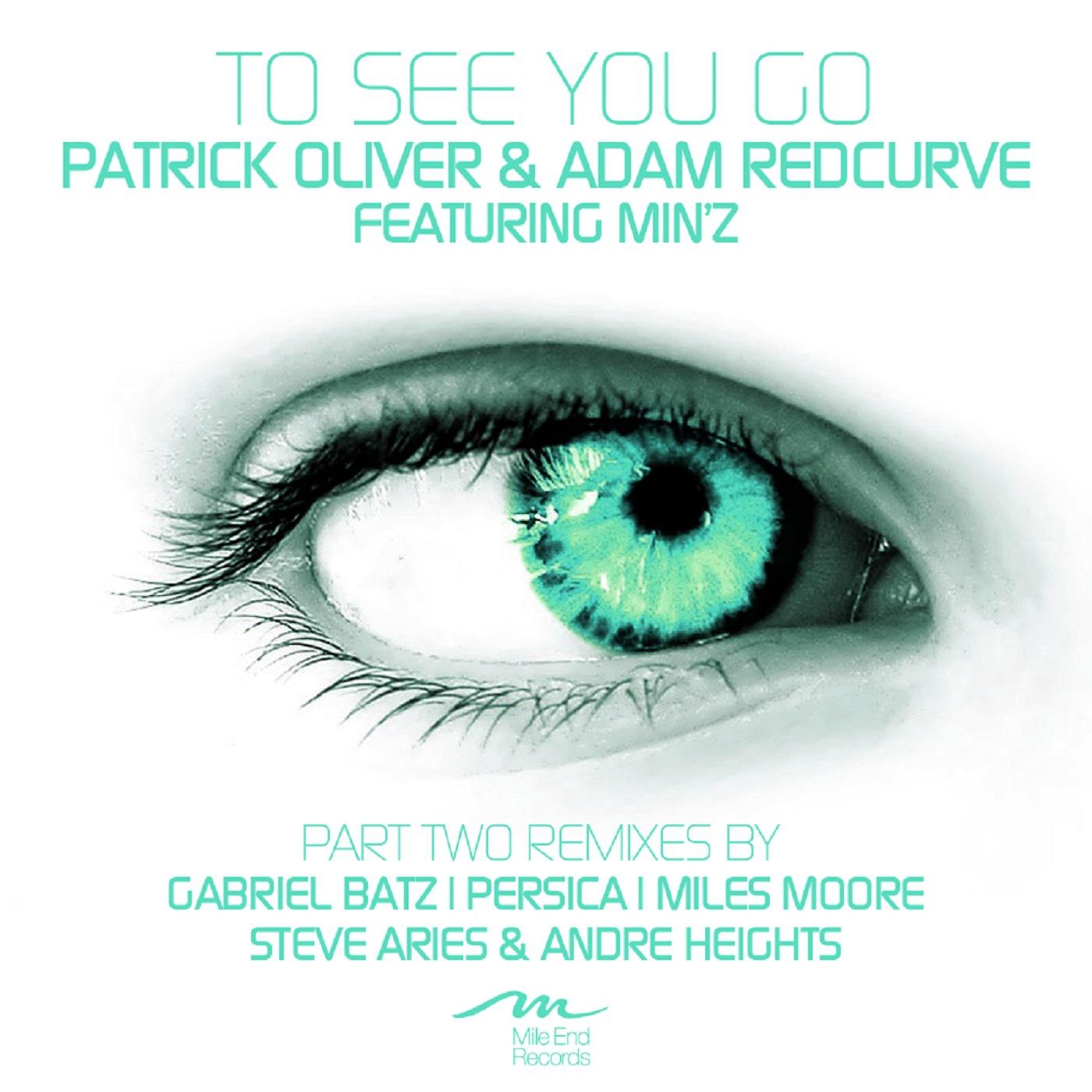To See You Go (Patrick Oliver Late Night Remix)