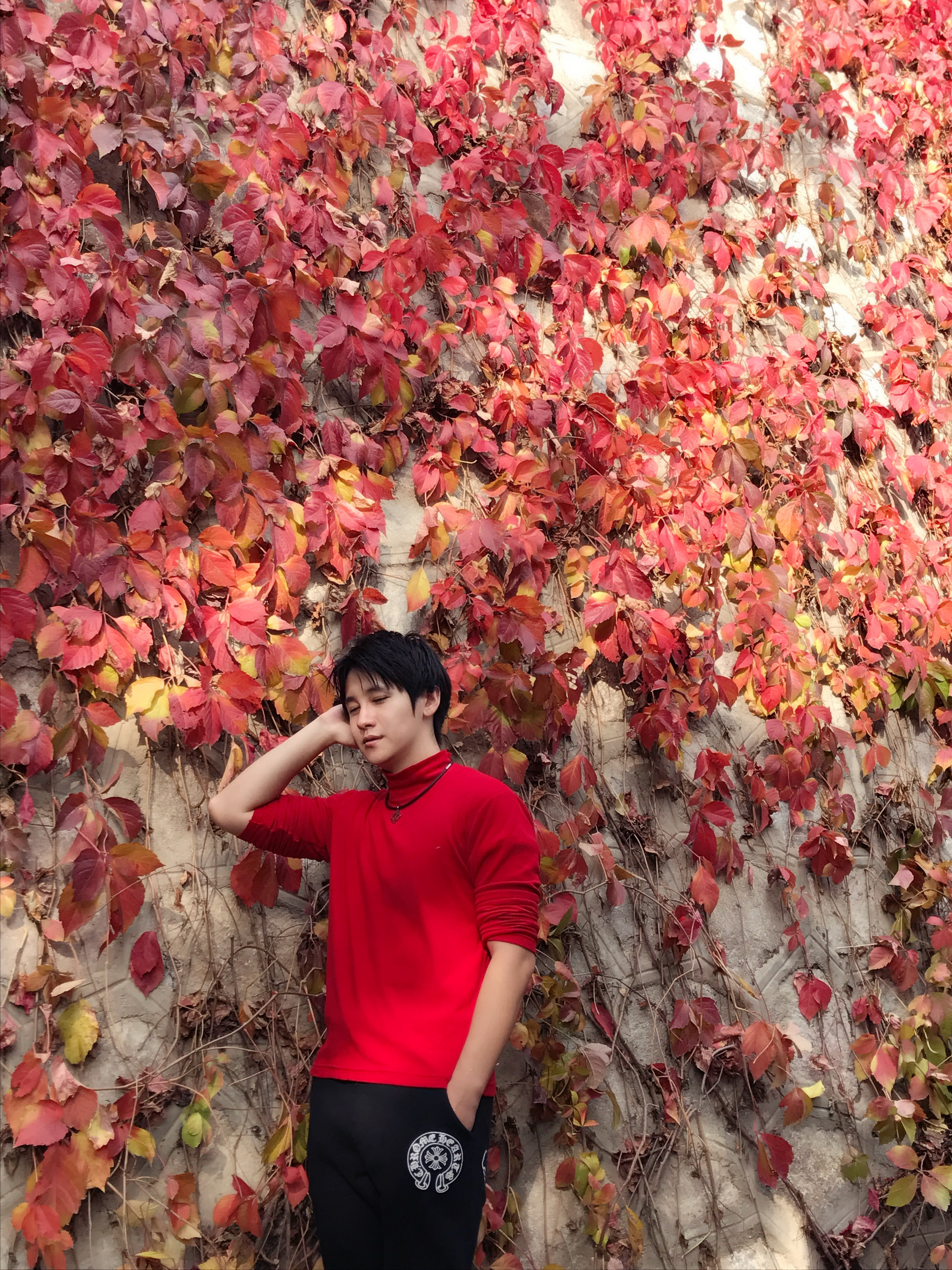 xing zou de de ji yi