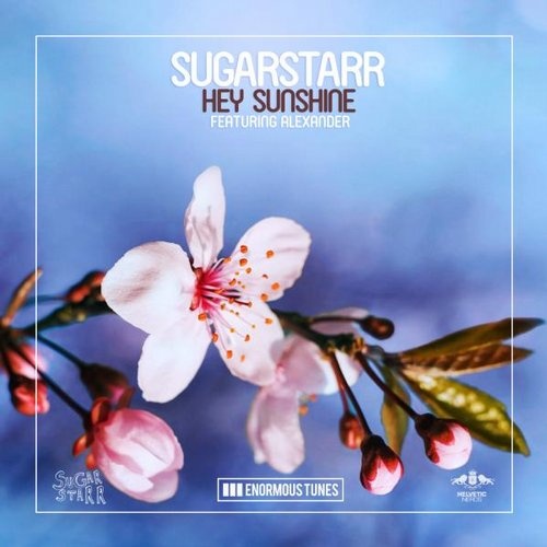 Hey Sunshine (Original Mix)