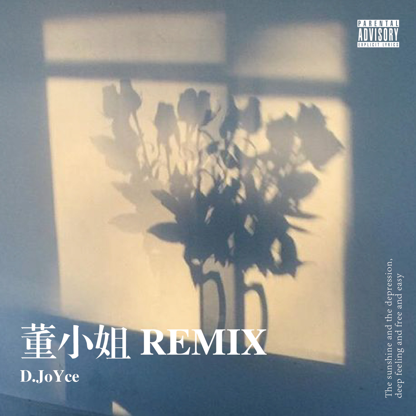 song dong ye dong xiao jie REMIX D. JoYce ou rui SoulCore Remix