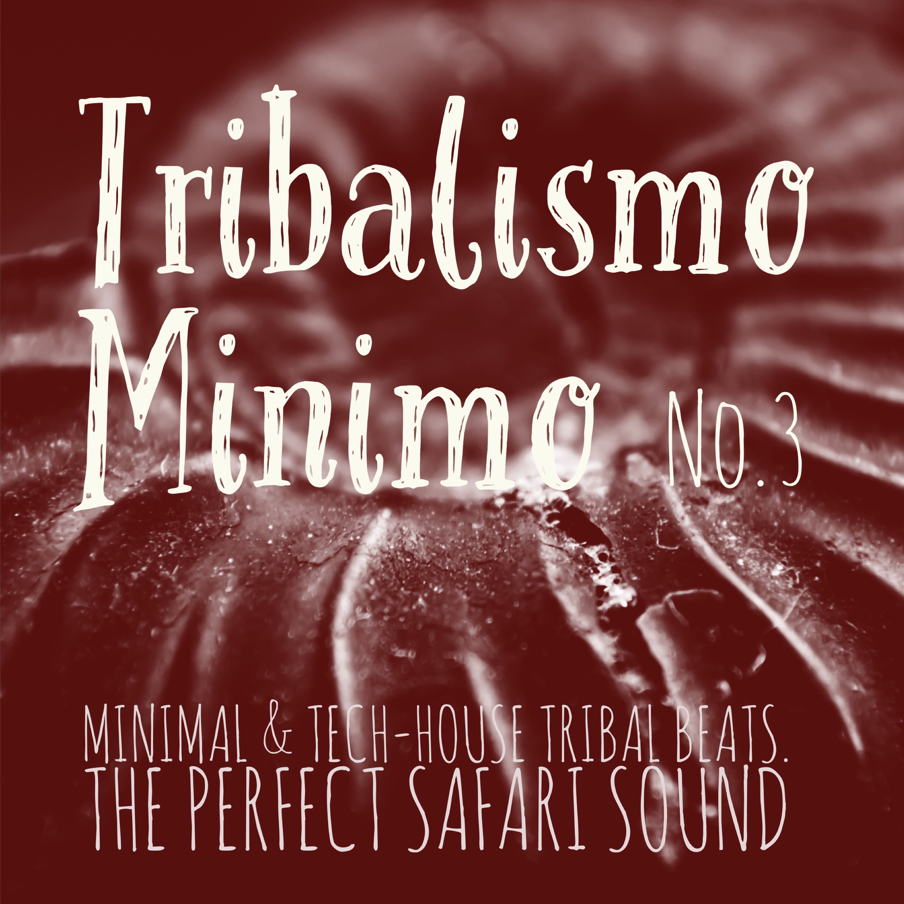 Tribalismo Minimo, Vol. 3 (Mixed by DJ Franco Capuano)