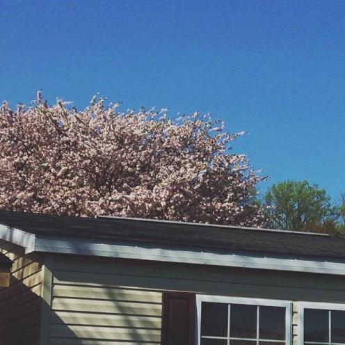 Shallow (Prod. Frander)