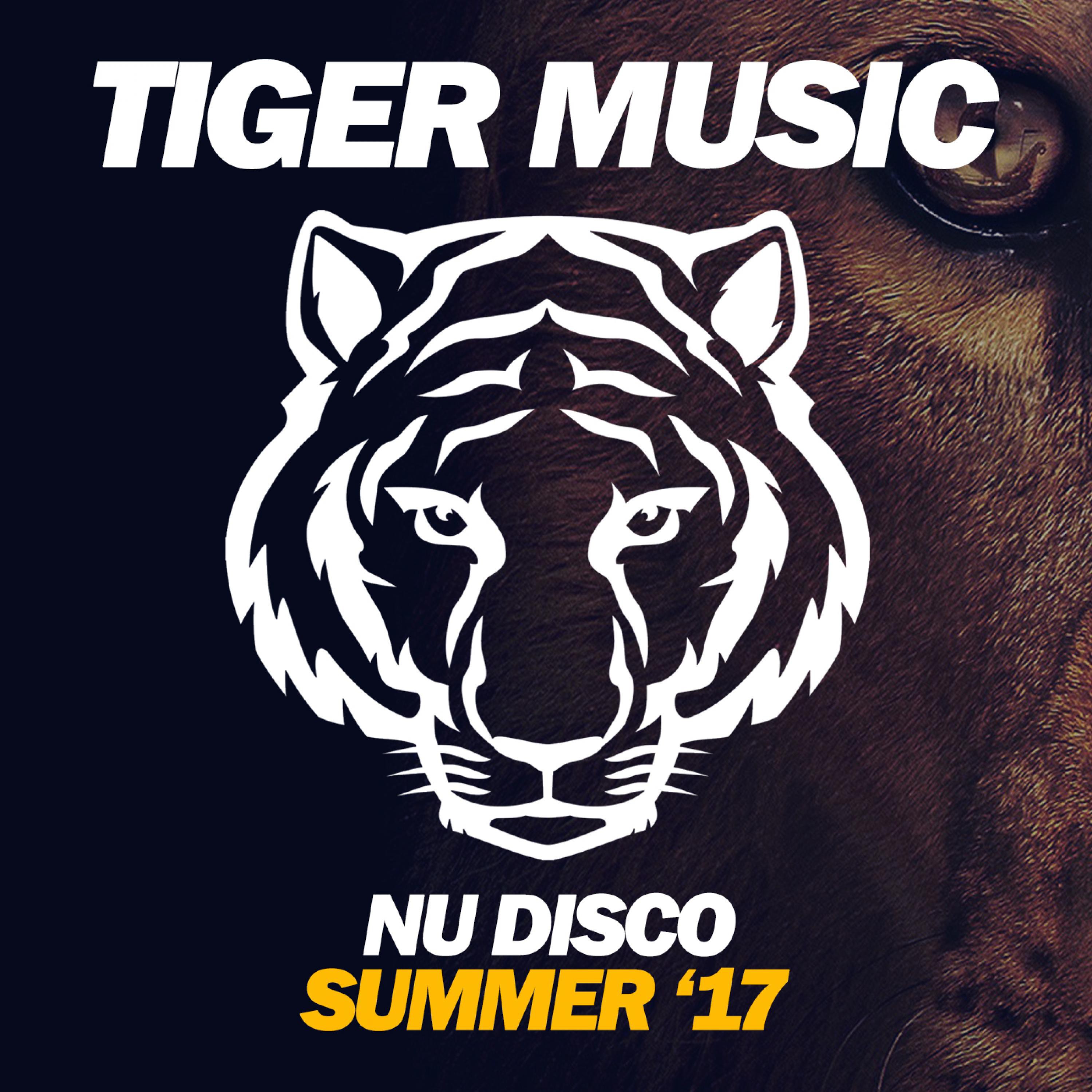Nu Disco (Summer '17)