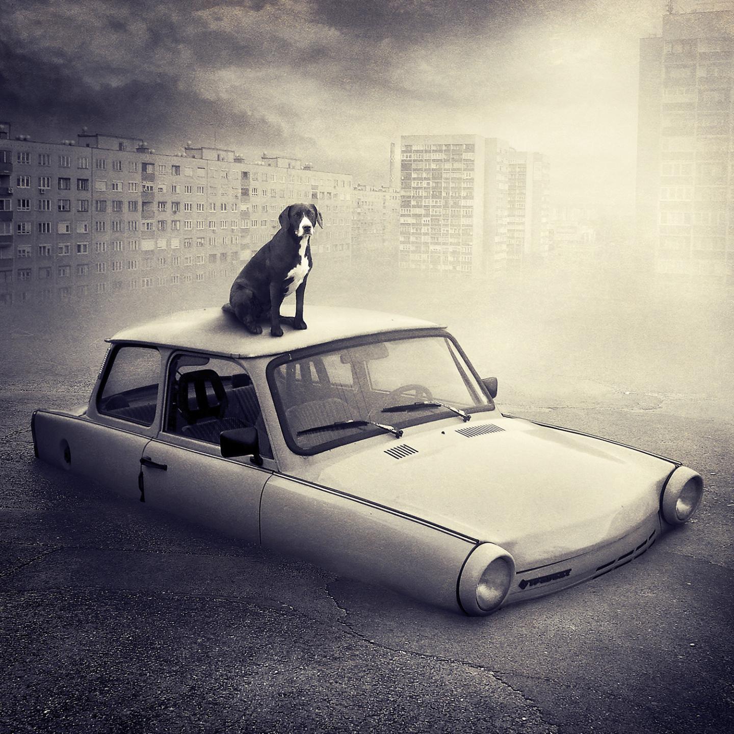 Ke nyszerlesza lla s