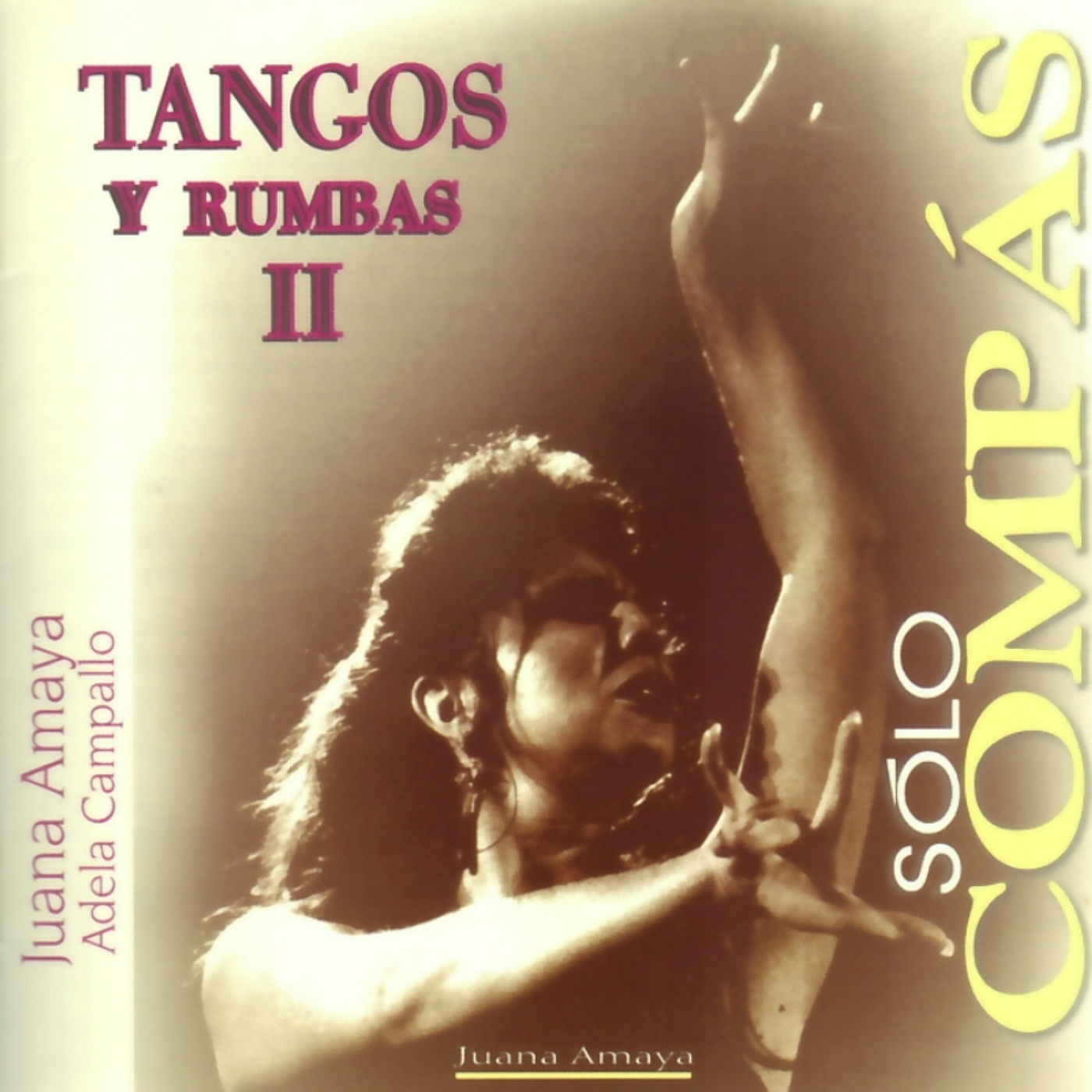 So lo Compa s. Tangos y Rumbas II Volumen 1