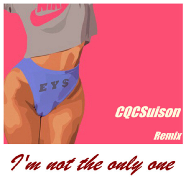 I  M  Not  the  only  ONE  remix