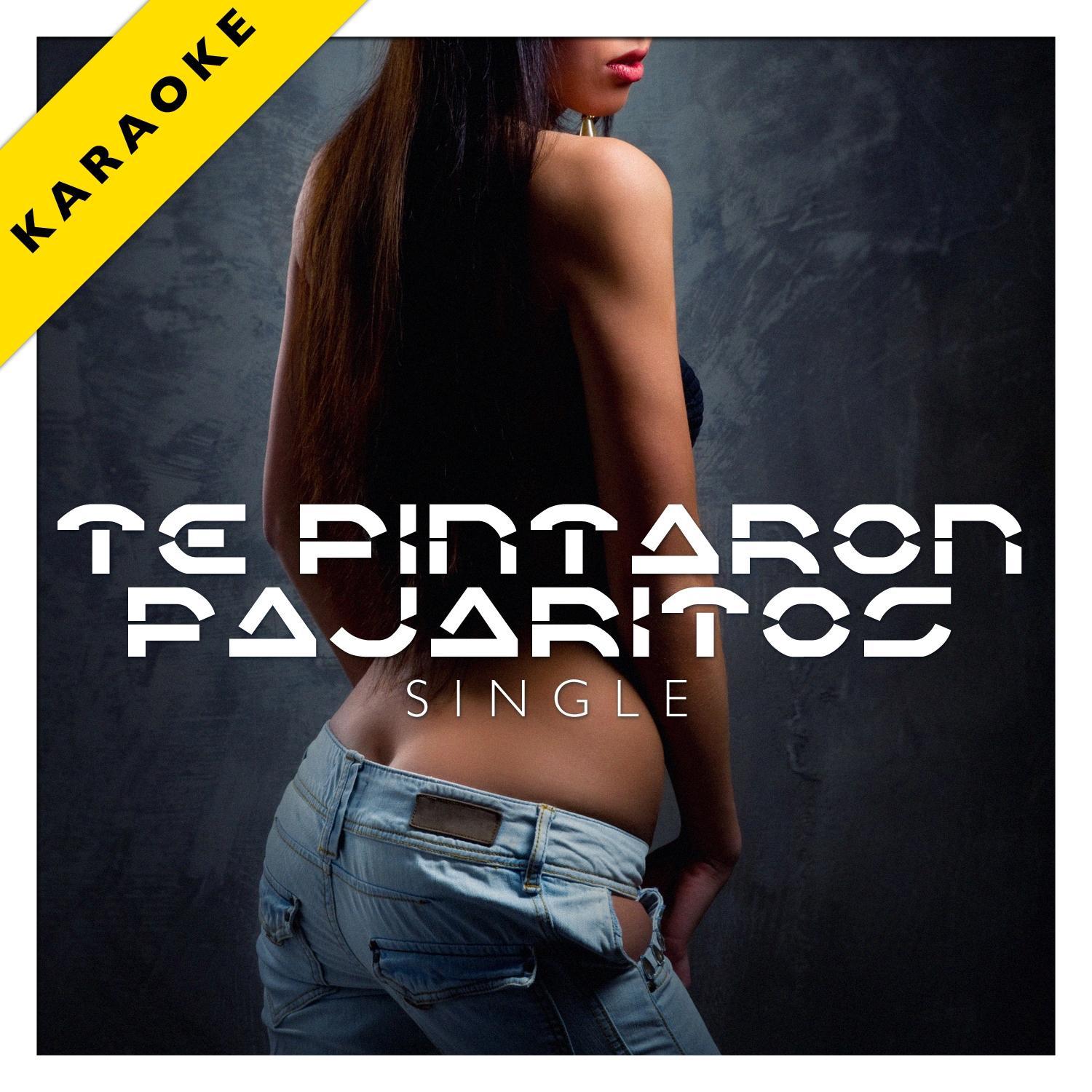 Te Pintaron Pajaritos (Karaoke Version) - Single