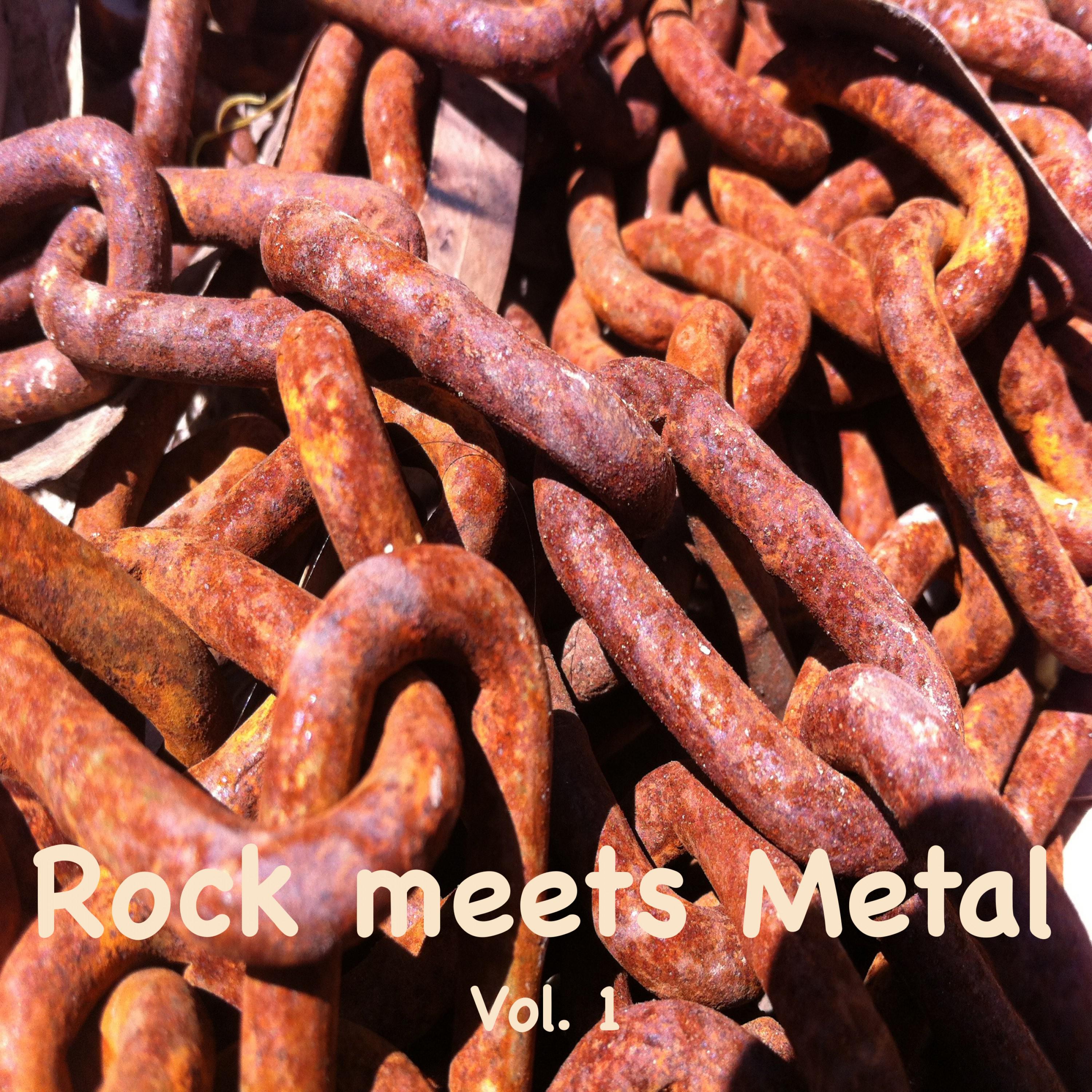 Rock Meets Metal, Vol. 1