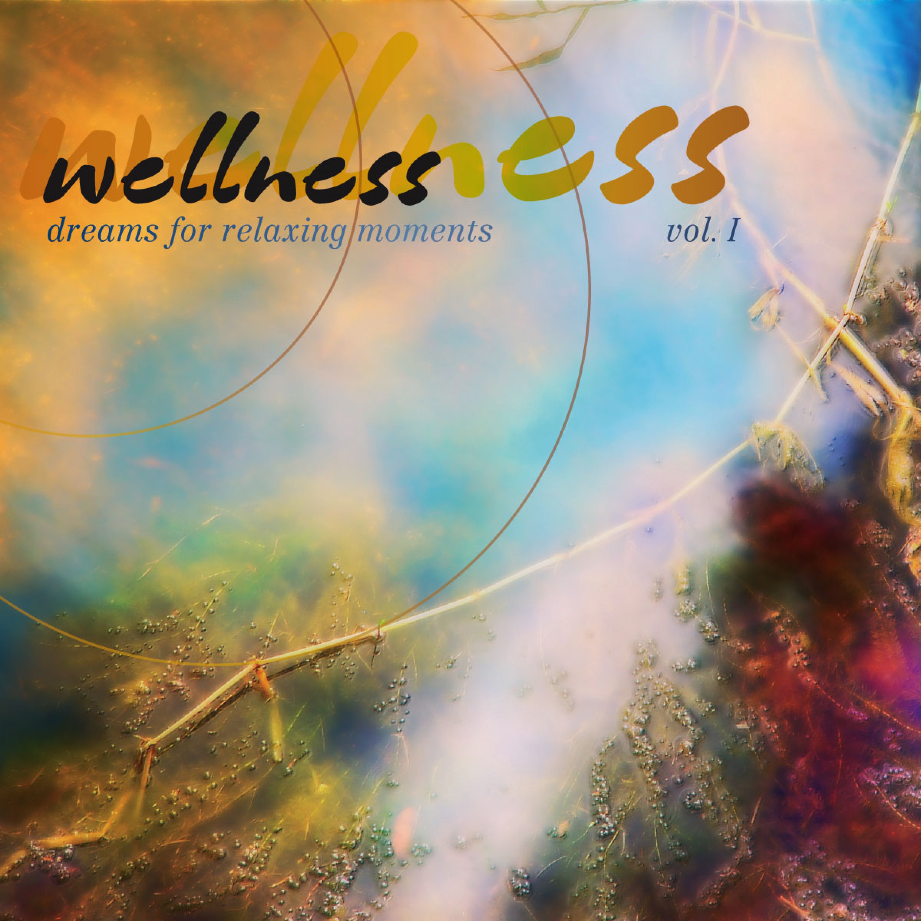 Wellness, Vol. 1