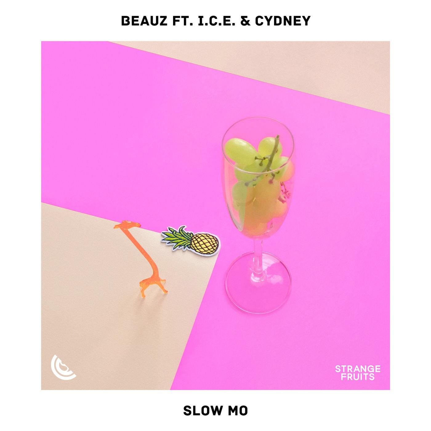 Slow Mo (feat. I.C.E. & Cydney)