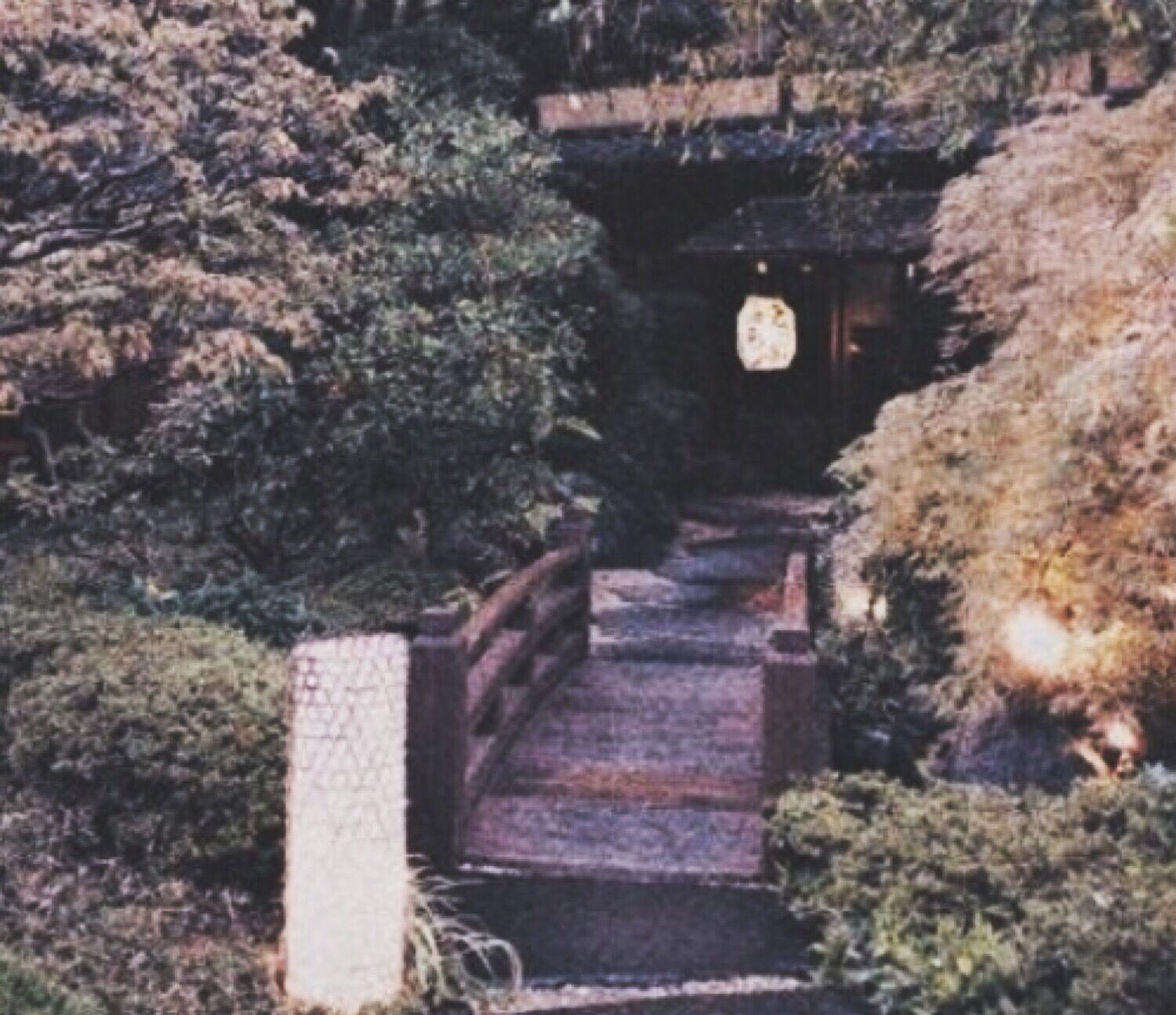 Fog Lake-Push(Remix)