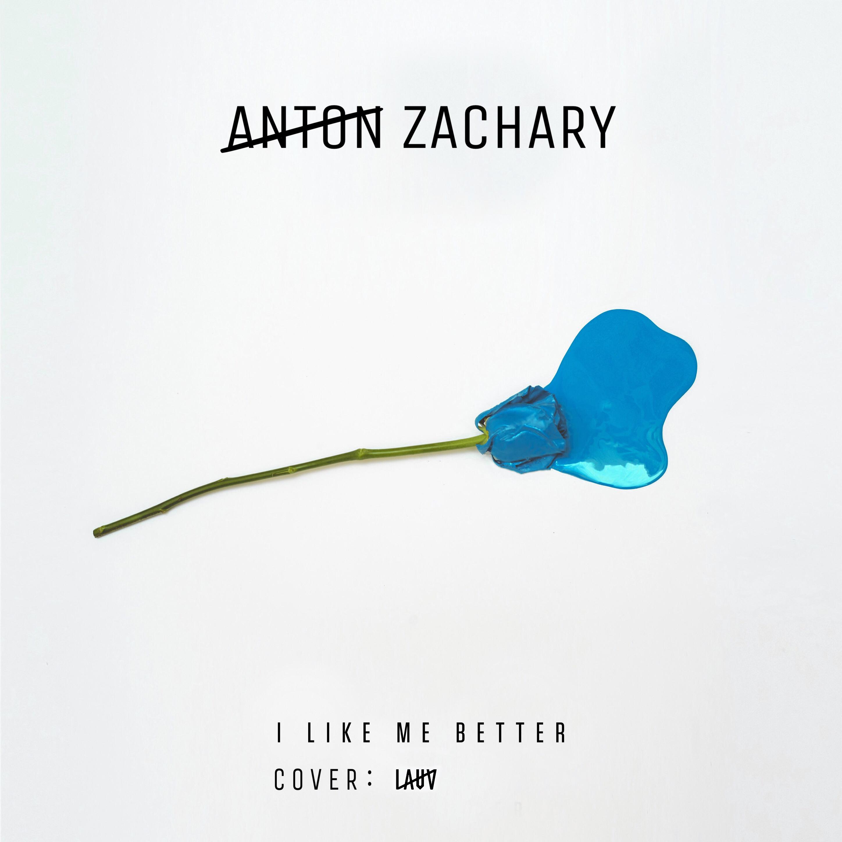 I Like Me Better Cover: Lauv