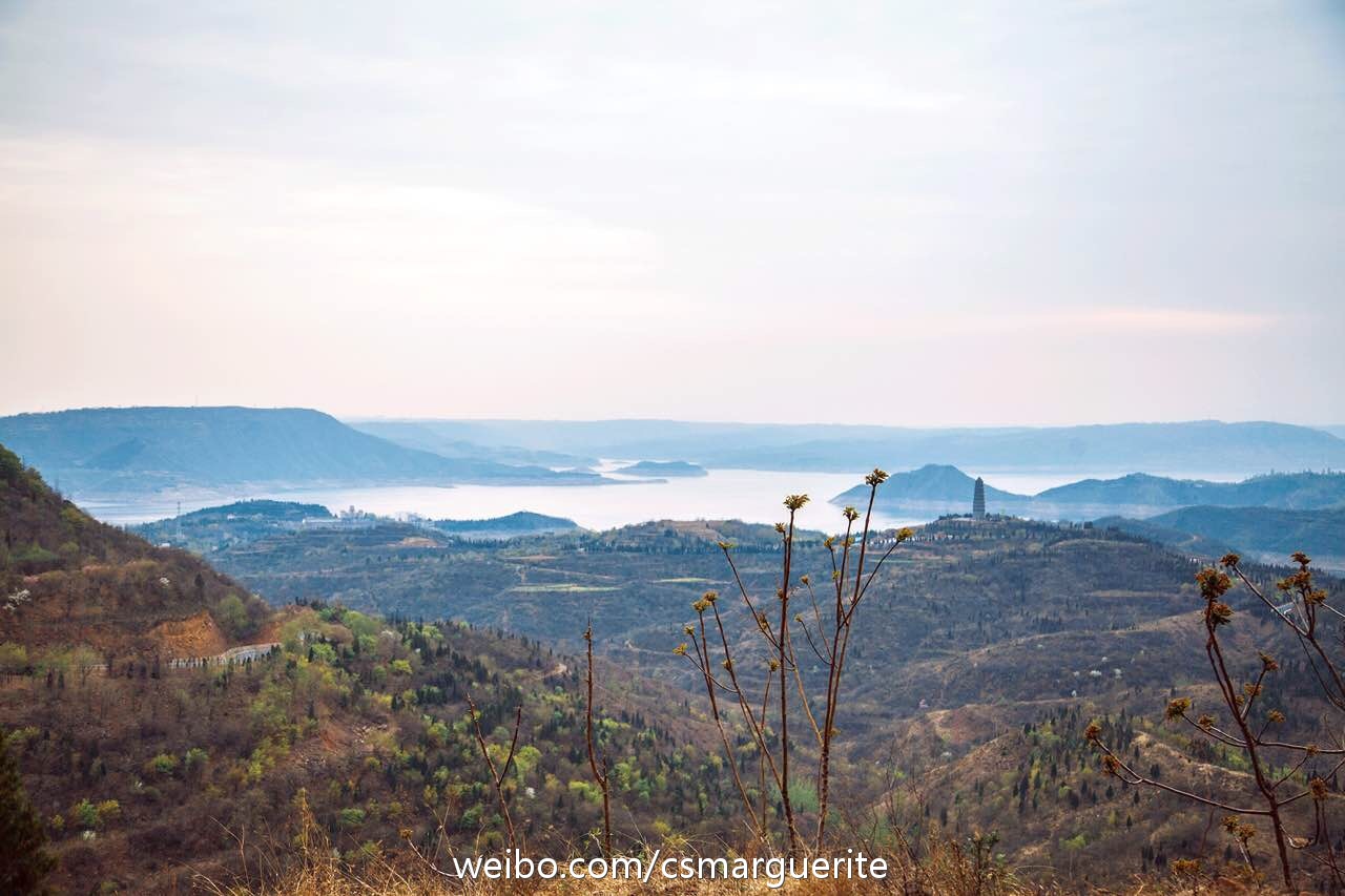 hou hui wu qi pian wei gang qin qu