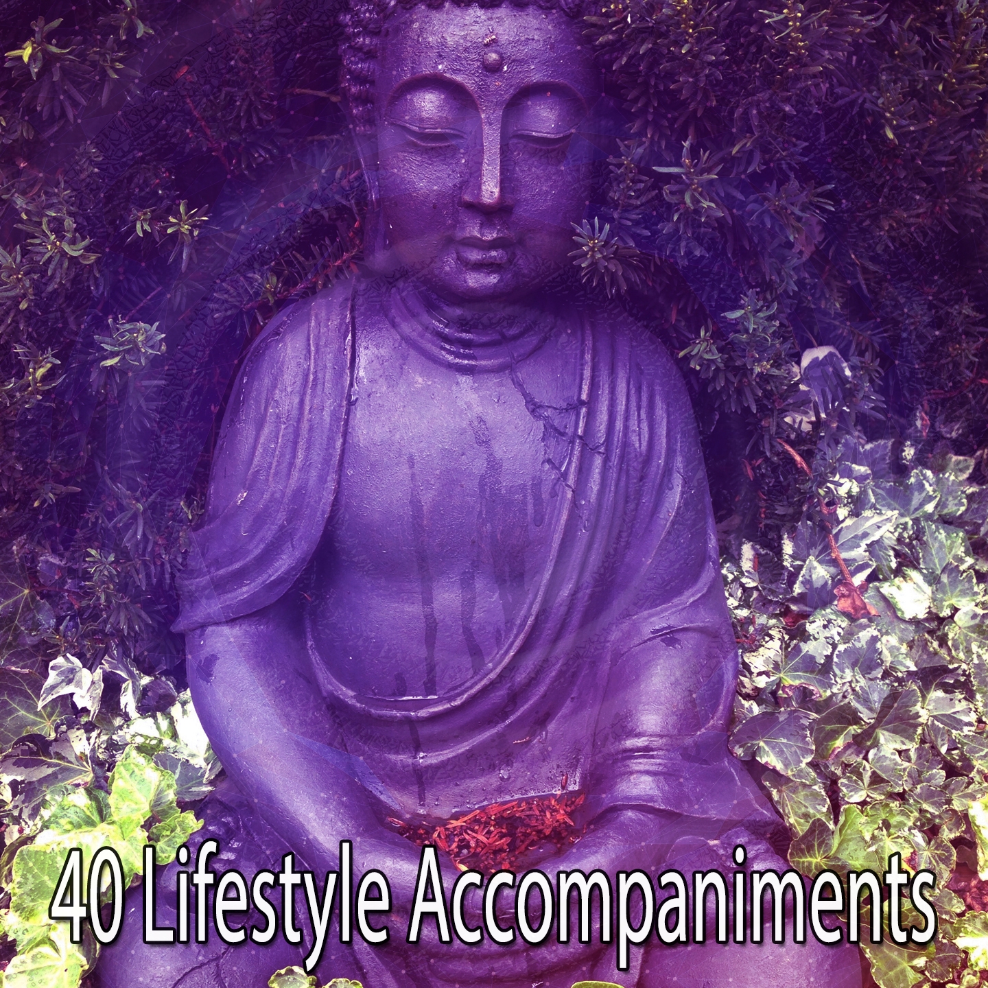 40 Lifestyle Accompaniments