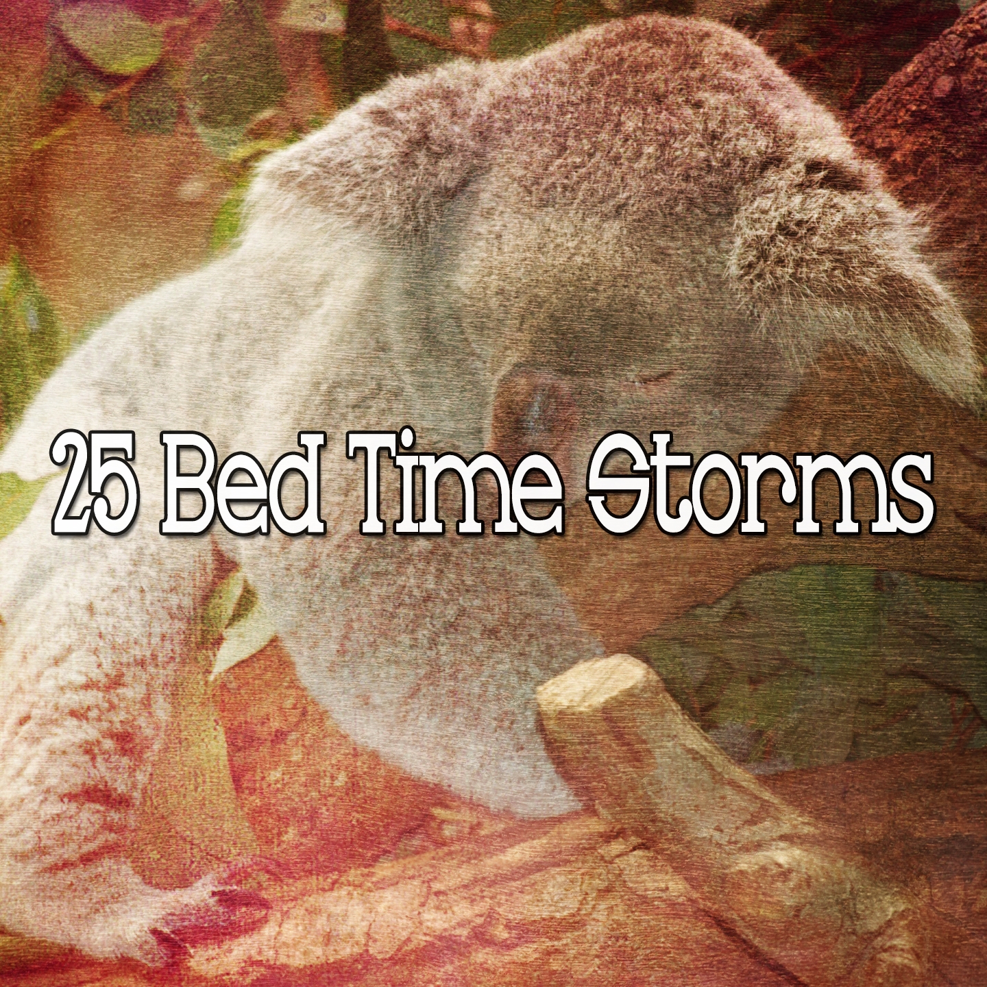 25 Bed Time Storms