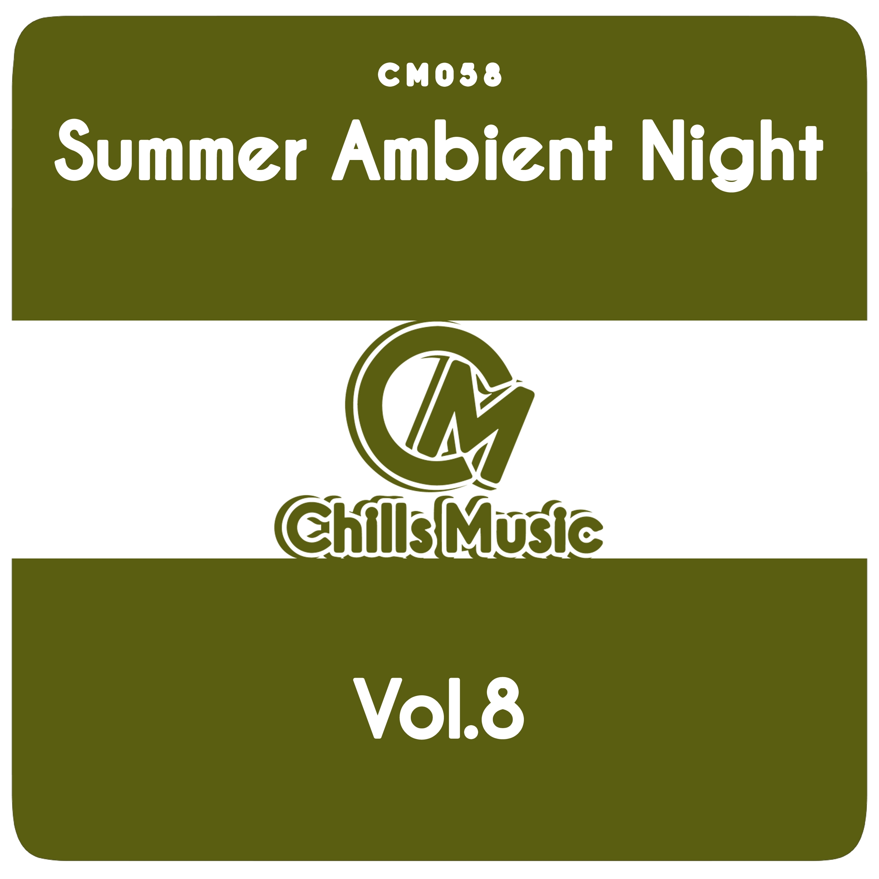 Summer Ambient Night, Vol. 8