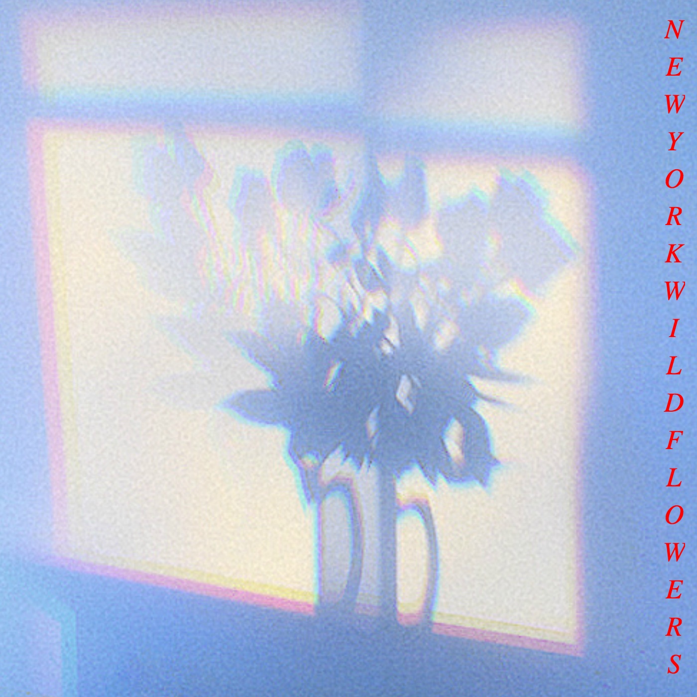 lonely girl with a lot of dreams