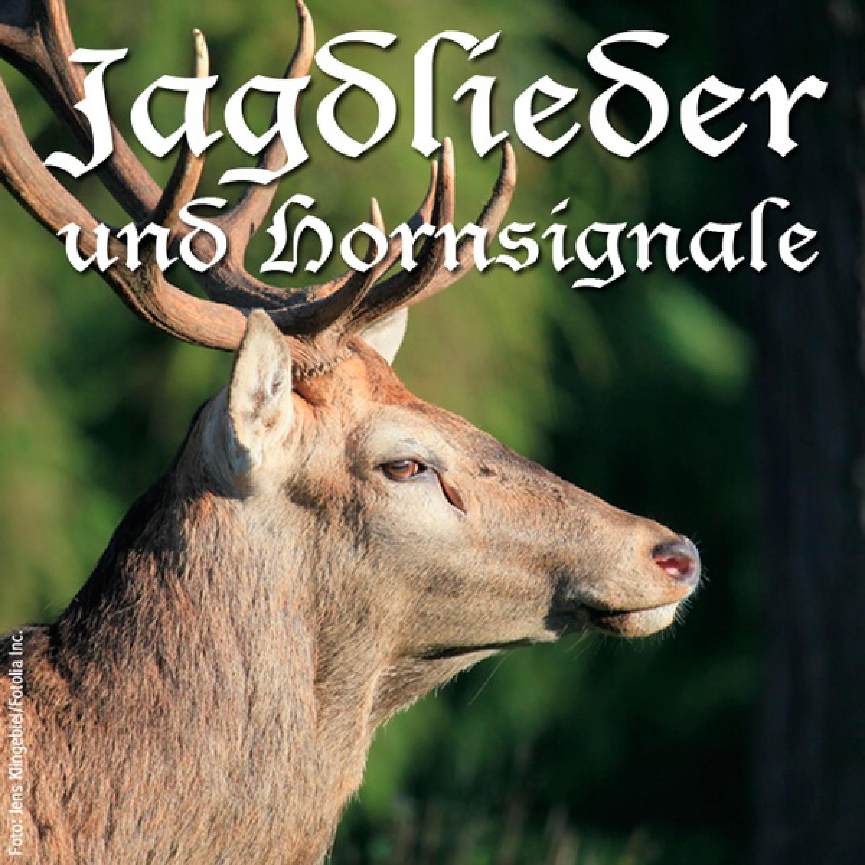 Signal: Jagd vorbei