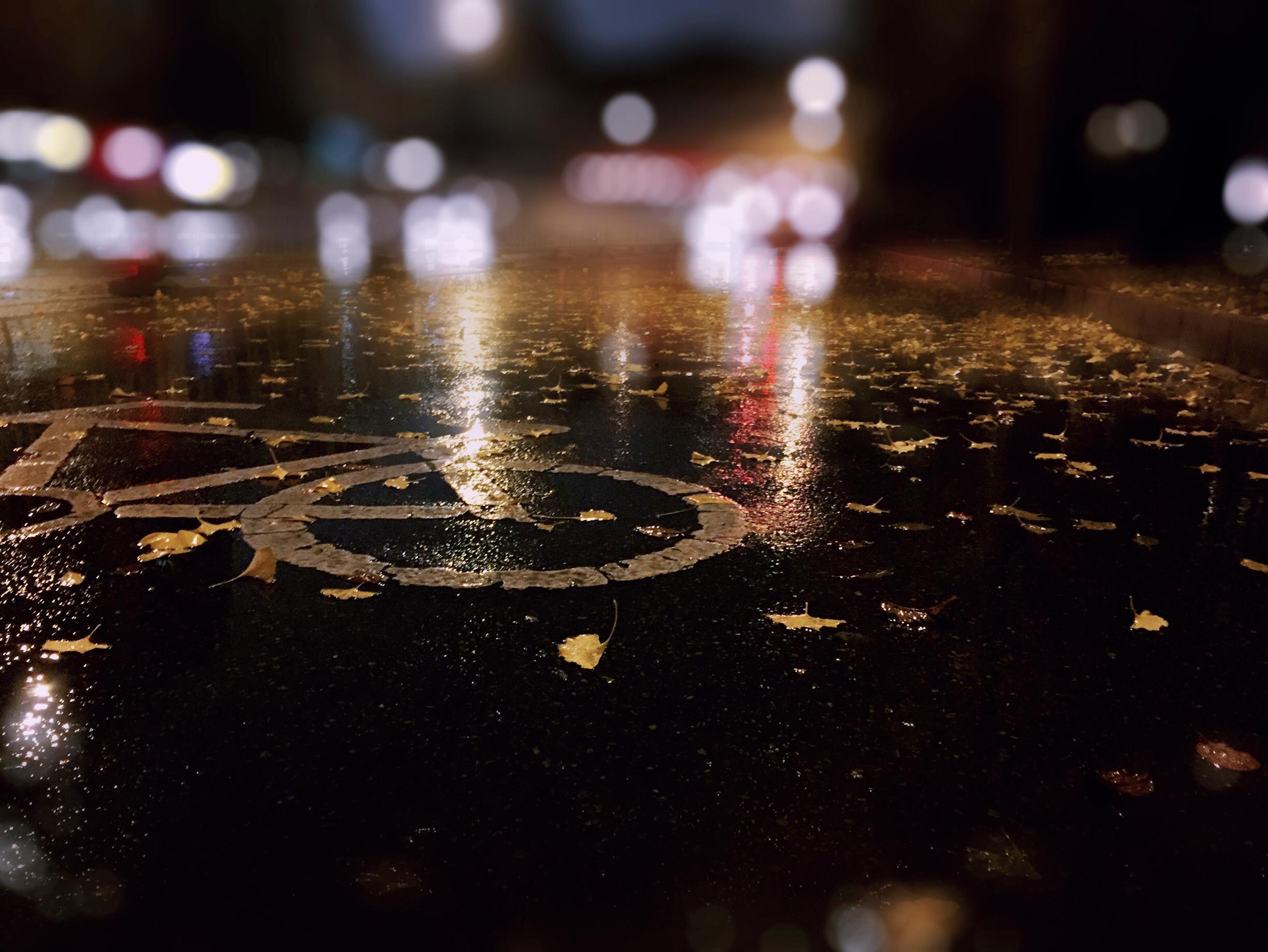 you qing sui yue gang qin ban Cover: zheng yi jian