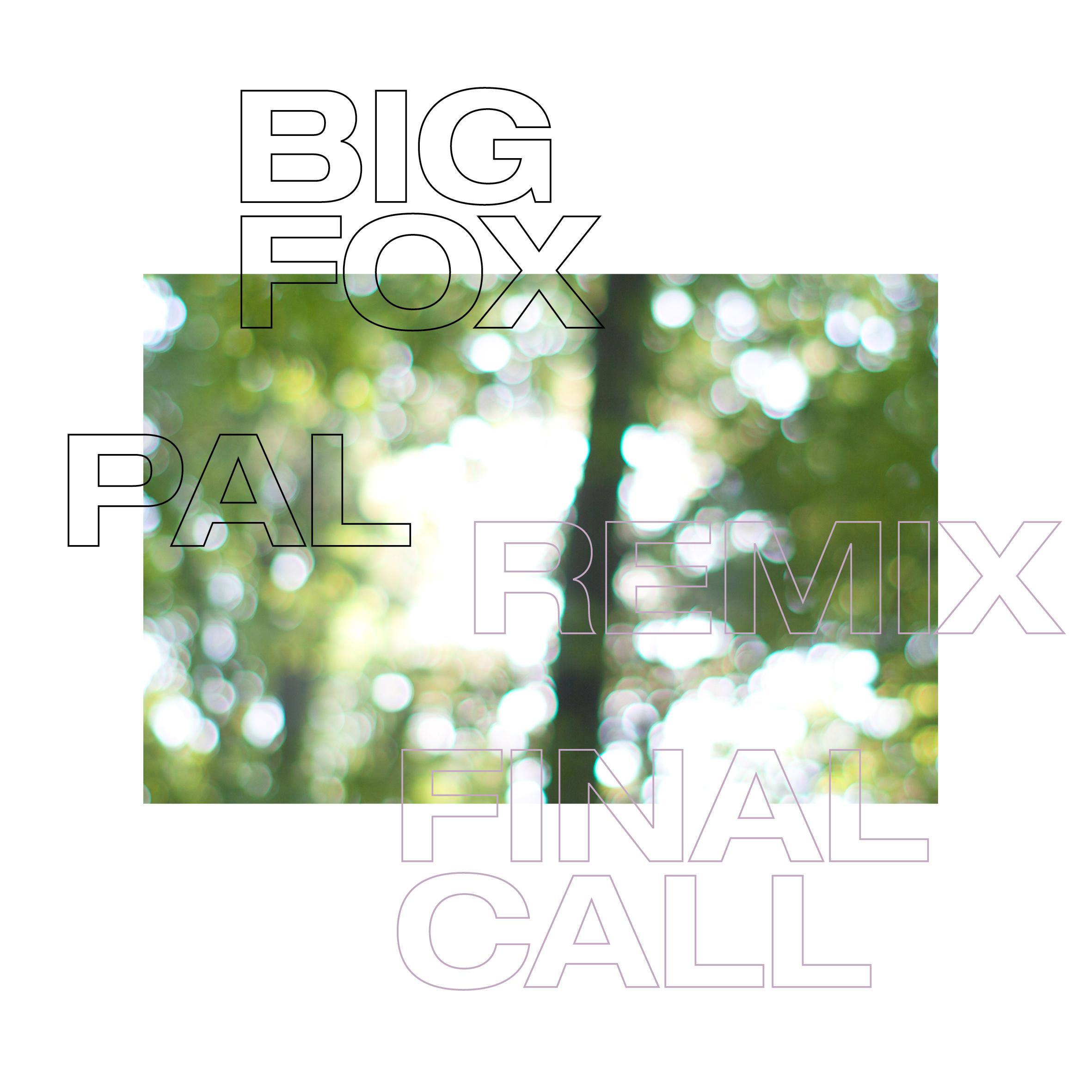 Final Call (PAL Remix)