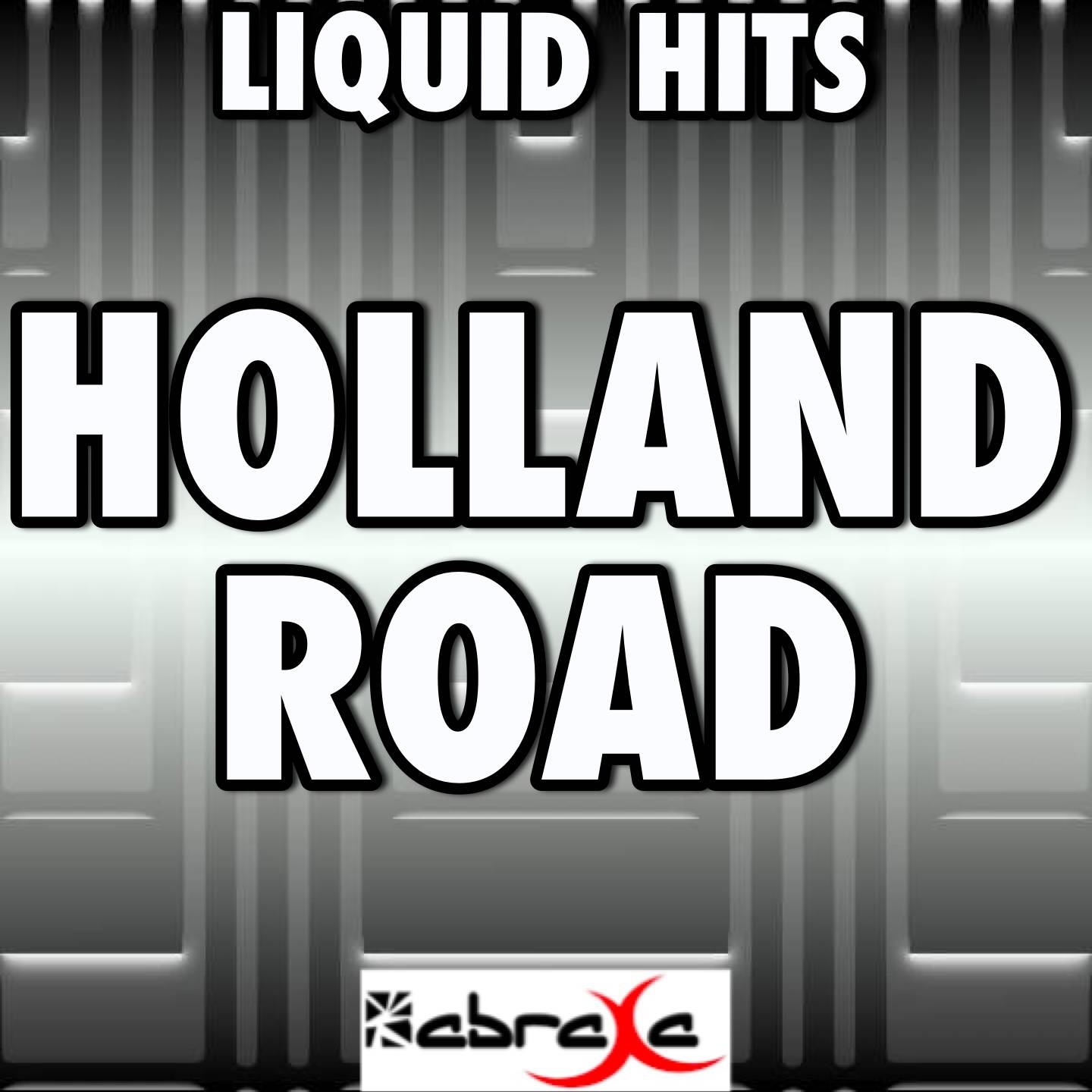 Holland Road (Karaoke Version) (Originally Performed By Mumford & Sons)