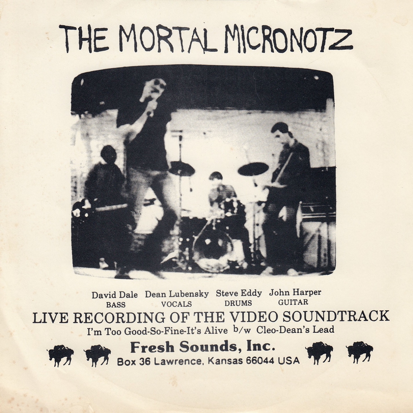 Live Recording of the Video Soundtrack