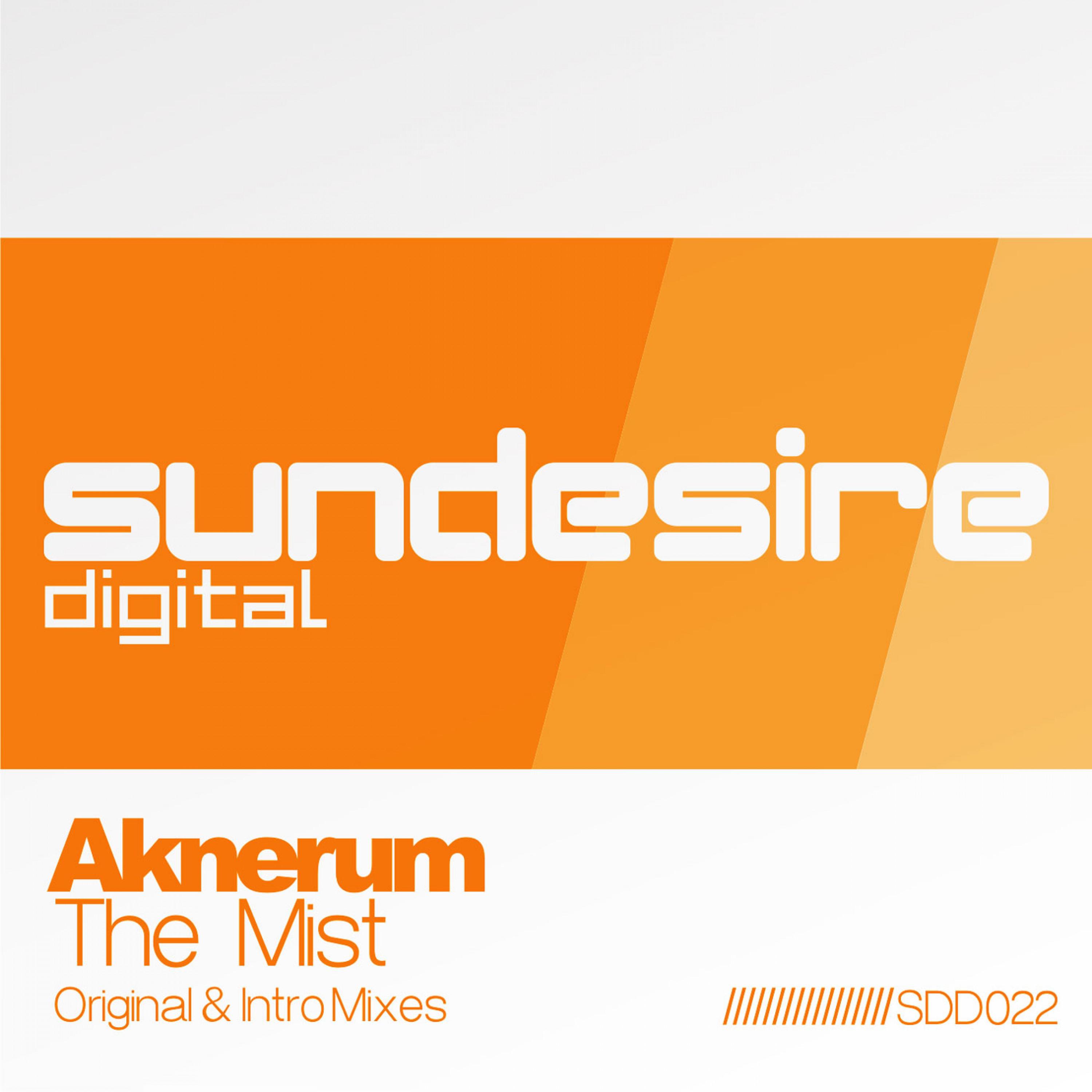 The Mist (Intro Mix)