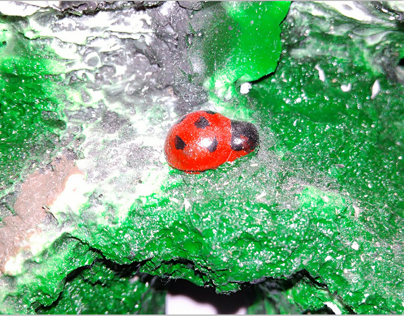 qiu ri si yu bian zou qu