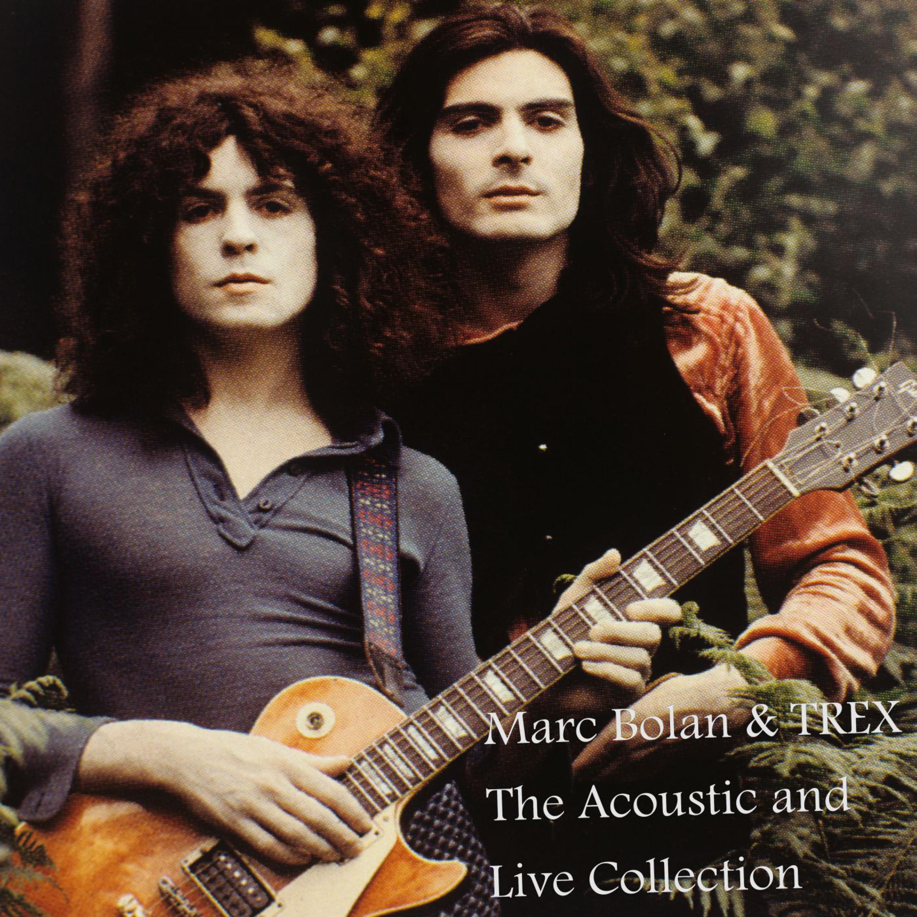 Marc Bolan & Trex