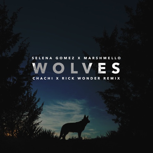 Wolves (Chachi x Rick Wonder Remix)